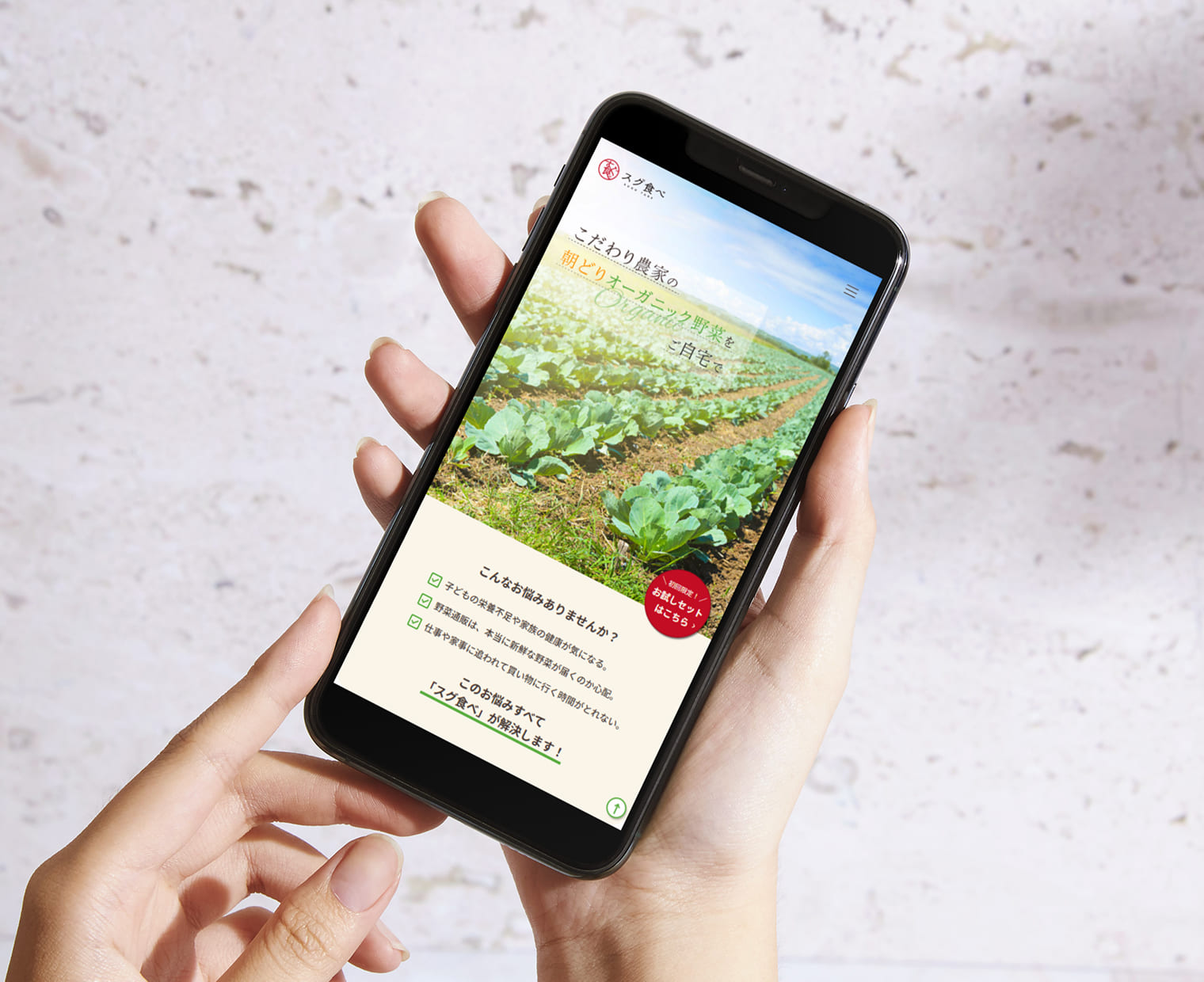 すぐ食べのLPのモックアップ画像